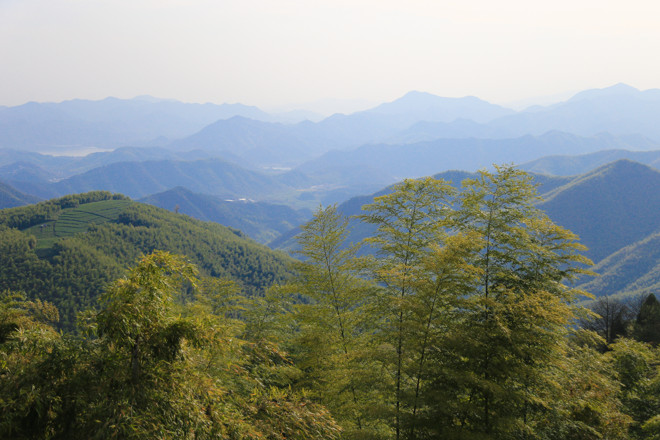 探秘红色足迹：2017年浙江德清红色之旅回顾